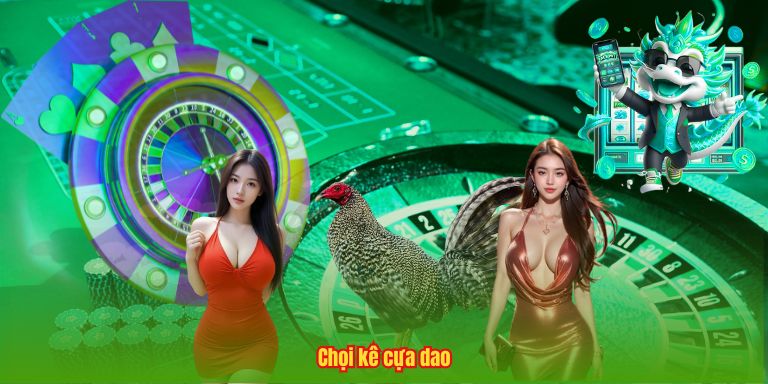 Chọi kê cựa dao