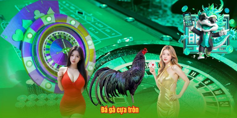 Đá gà cựa tròn