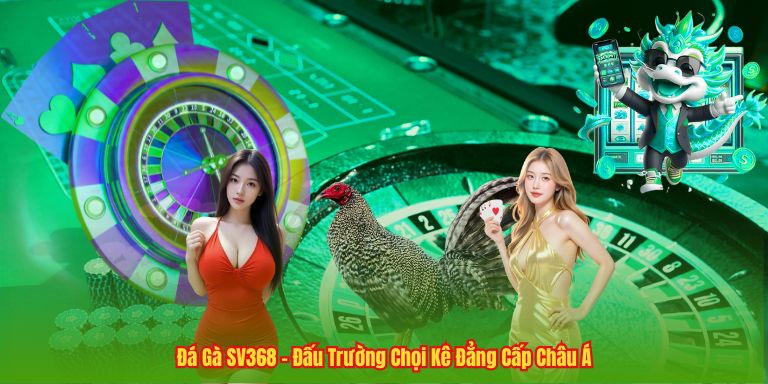Đá Gà SV368 – Đấu Trường Chọi Kê Đẳng Cấp Châu Á