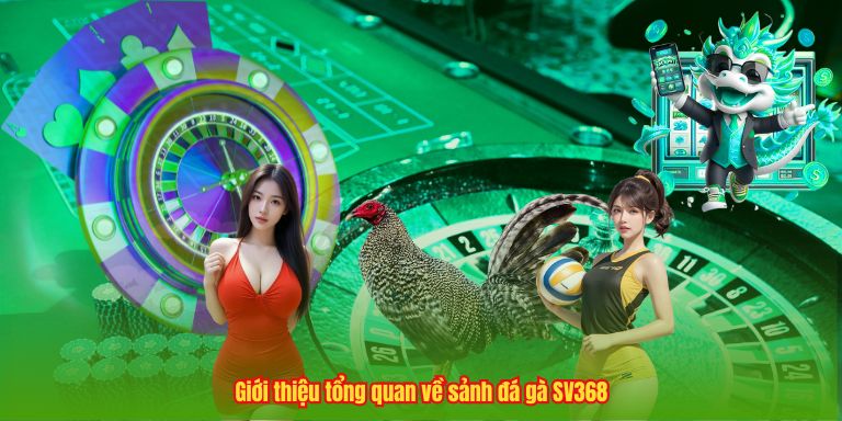 Giới thiệu tổng quan về sảnh đá gà SV368