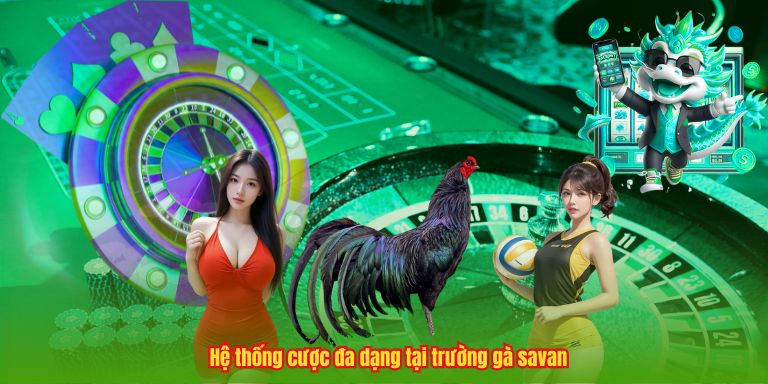 Hệ thống cược đa dạng tại trường gà savan
