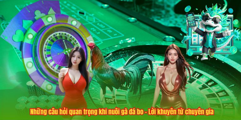 Những câu hỏi quan trọng khi nuôi gà đá bo – Lời khuyên từ chuyên gia